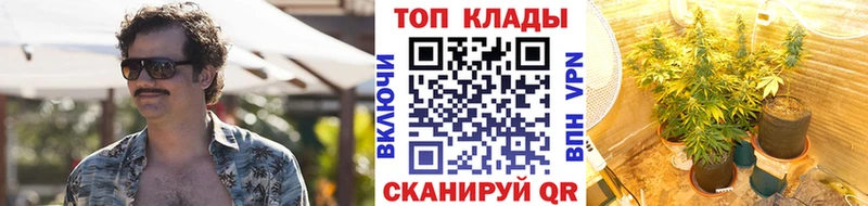 Какие есть наркотики Тавда Бошки Шишки  АМФ  Alpha-PVP  ГАШ  Меф 