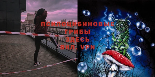 героин Михайлов