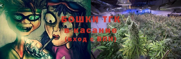 ГАЛЛЮЦИНОГЕННЫЕ ГРИБЫ Весьегонск