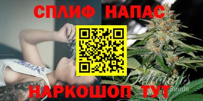 mdma Гатчина