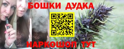 шишки Гай