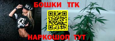 шишки Гай