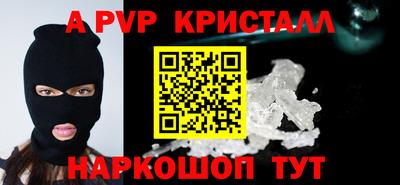 шишки Гай