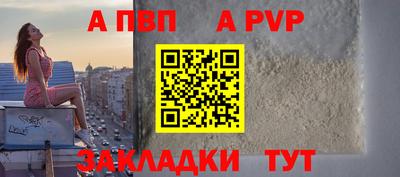шишки Гай
