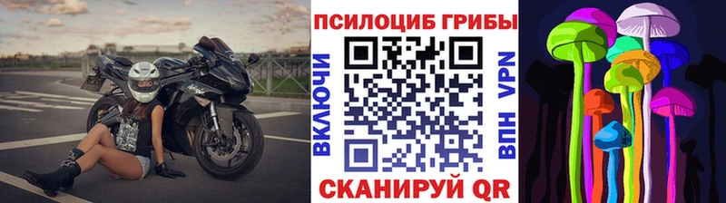 дарнет шоп Тавда Псилоцибиновые грибы ЛСД