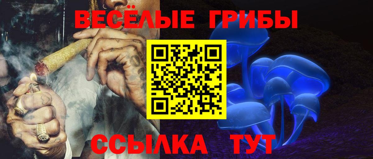 Тавда  Псилоцибиновые грибы мухоморы  Вход с VPN 
