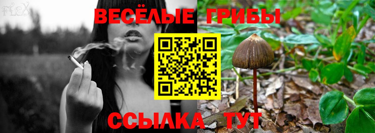 ГАШ Тавда