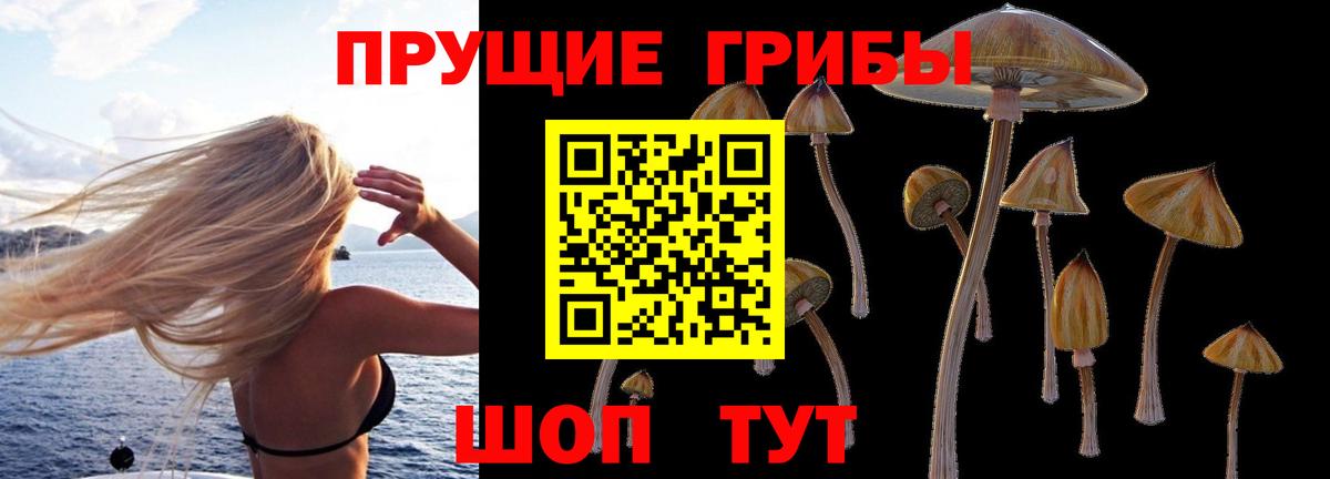 Галлюциногенные грибы Magic Shrooms Тавда